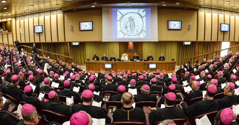 LINEAMENTA AND SECOND SYNOD QUESTIONNAIRE